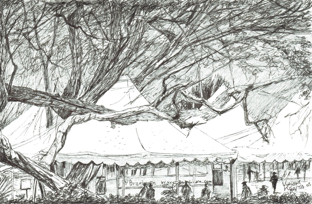 Esküvői sátrak a Nawesha-tónál Kenya, 2003 alkotó: Vincent Alexander Booth