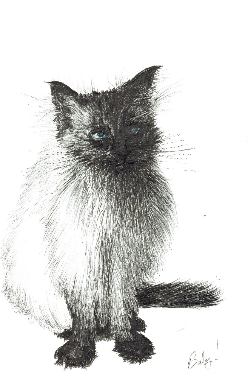 Fiatal baba, 2004 alkotó: Vincent Alexander Booth