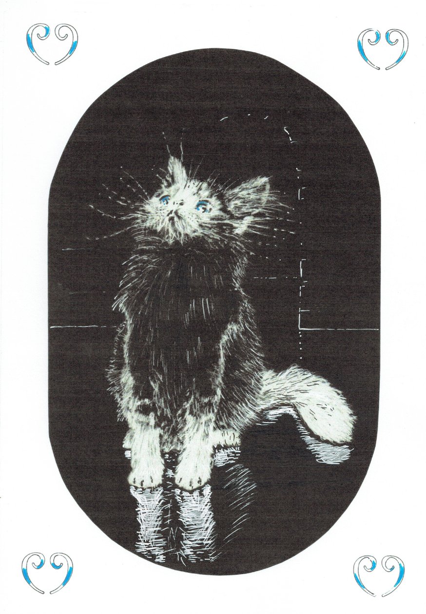1. oldal, A kastély Findhorn erdőjében, 2006, (tinta papíron) alkotó: Vincent Alexander Booth