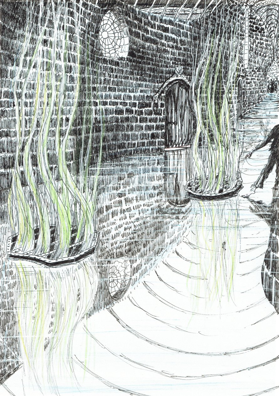29. oldal, The Castle in the Forest of Findhorn, 2006, (tinta papíron) alkotó: Vincent Alexander Booth