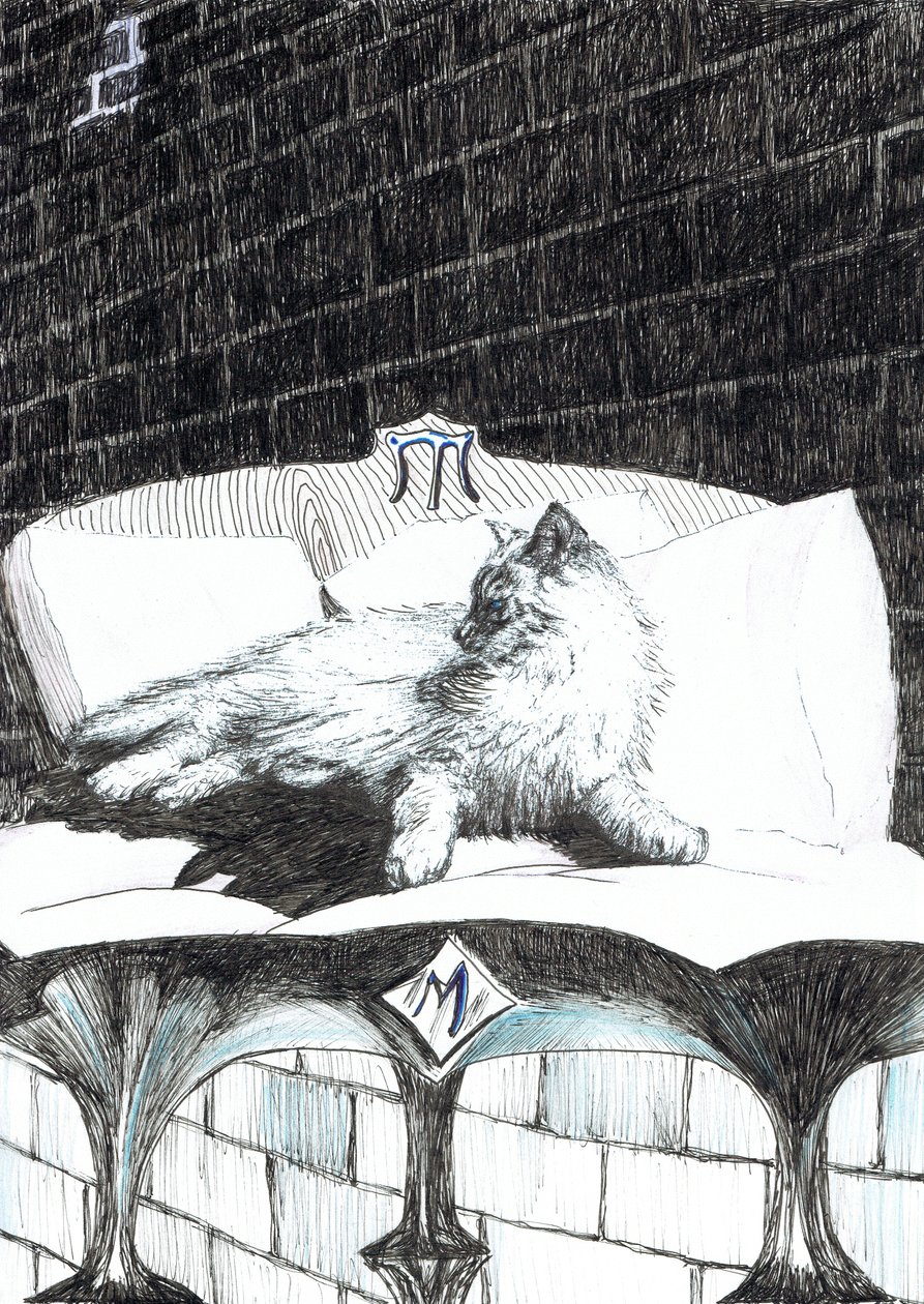52. oldal, The Castle in the Forest of Findhorn, 2006, (tinta papíron) alkotó: Vincent Alexander Booth