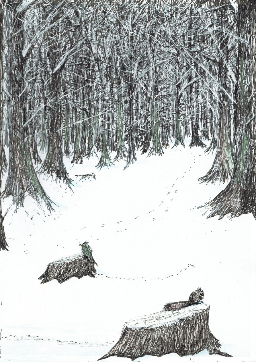 5. oldal, The Castle in the Forest of Findhorn, 2006, (tinta papíron) alkotó: Vincent Alexander Booth