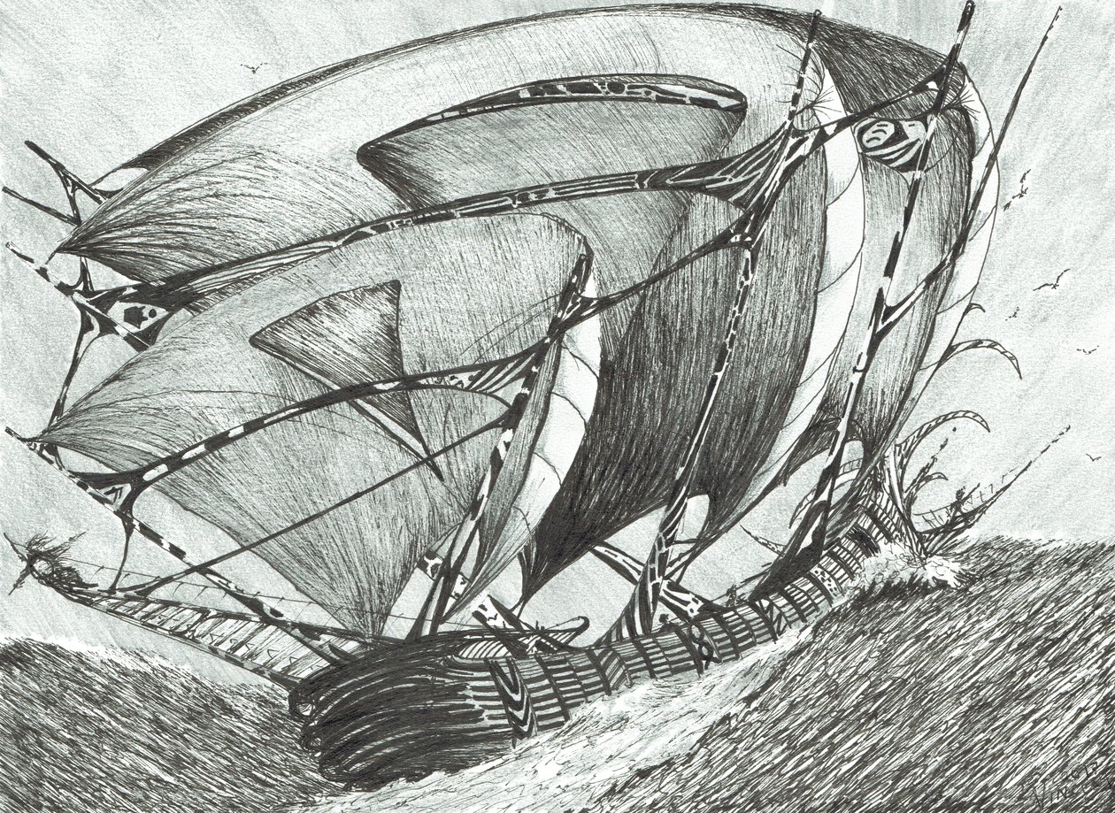 viharkészítők Azovi-tenger, 2017, (Tinta papíron) alkotó: Vincent Alexander Booth