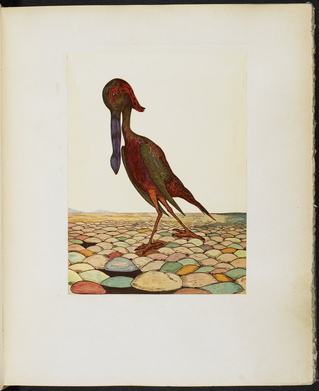 The Blue-Billed Ork, Vincent Cartwright Vickers „A Google könyvéből”. alkotó: Vincent Cartwright Vickers
