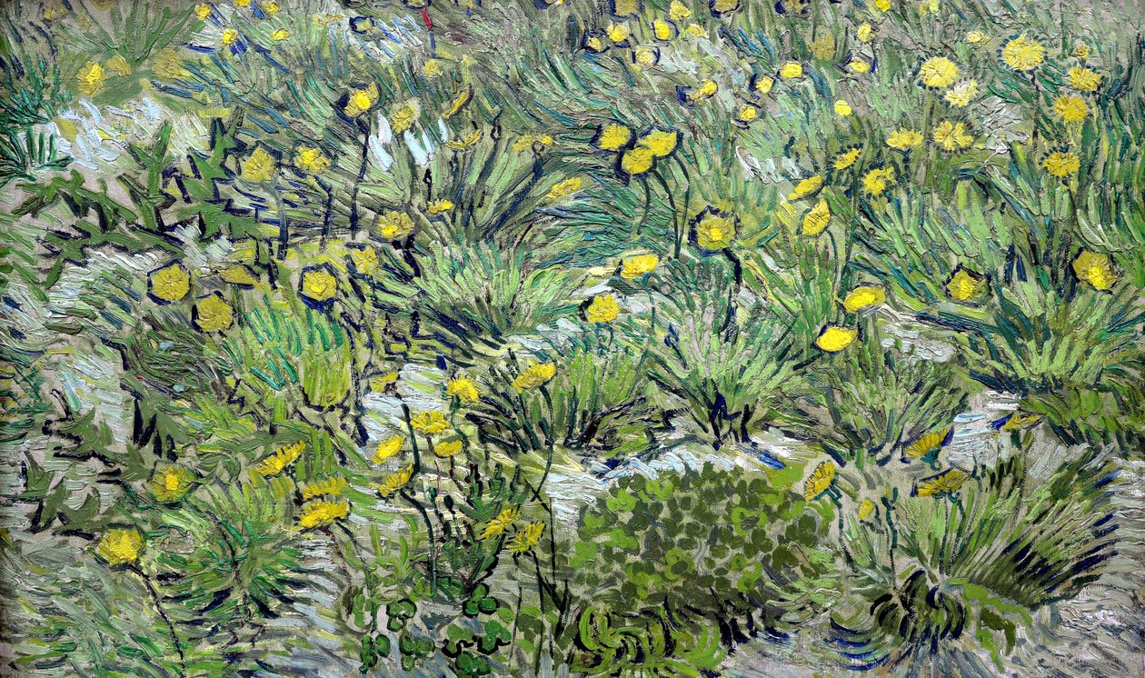 Pitypang, pitypang, 1889. alkotó: Vincent van Gogh