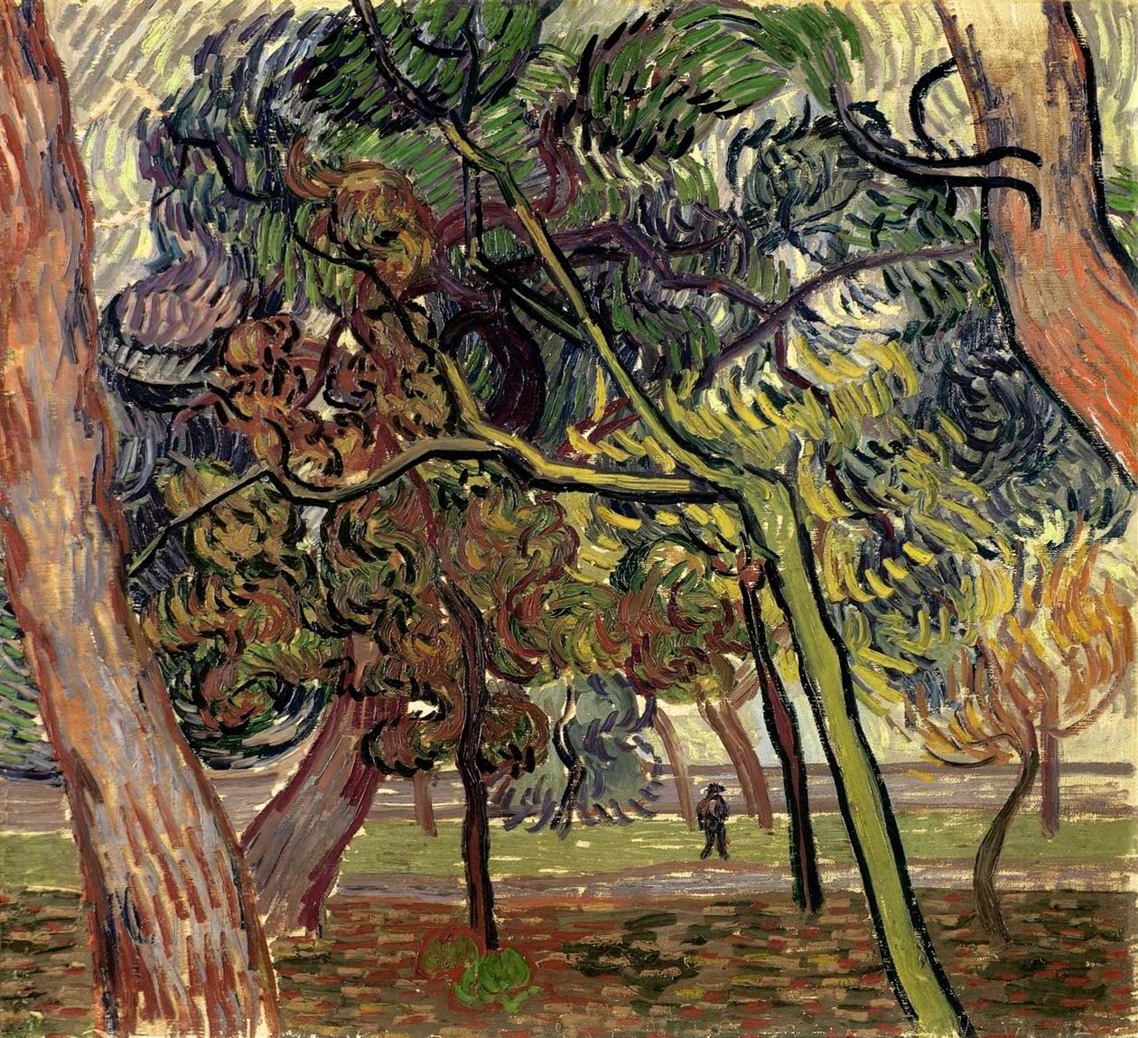 Fenyőfák a menhely kertjében, 1889. alkotó: Vincent van Gogh