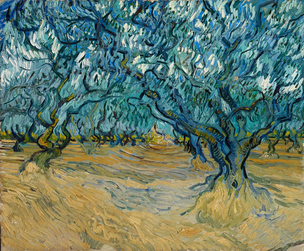 Az olajfaliget, Saint-Rémy, 1889. alkotó: Vincent van Gogh