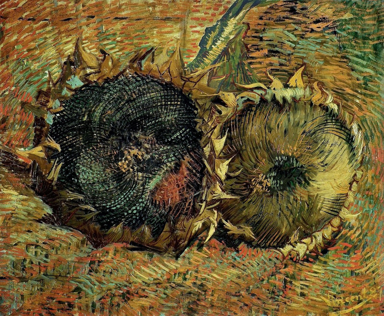 Két vágott napraforgó, 1887. alkotó: Vincent van Gogh