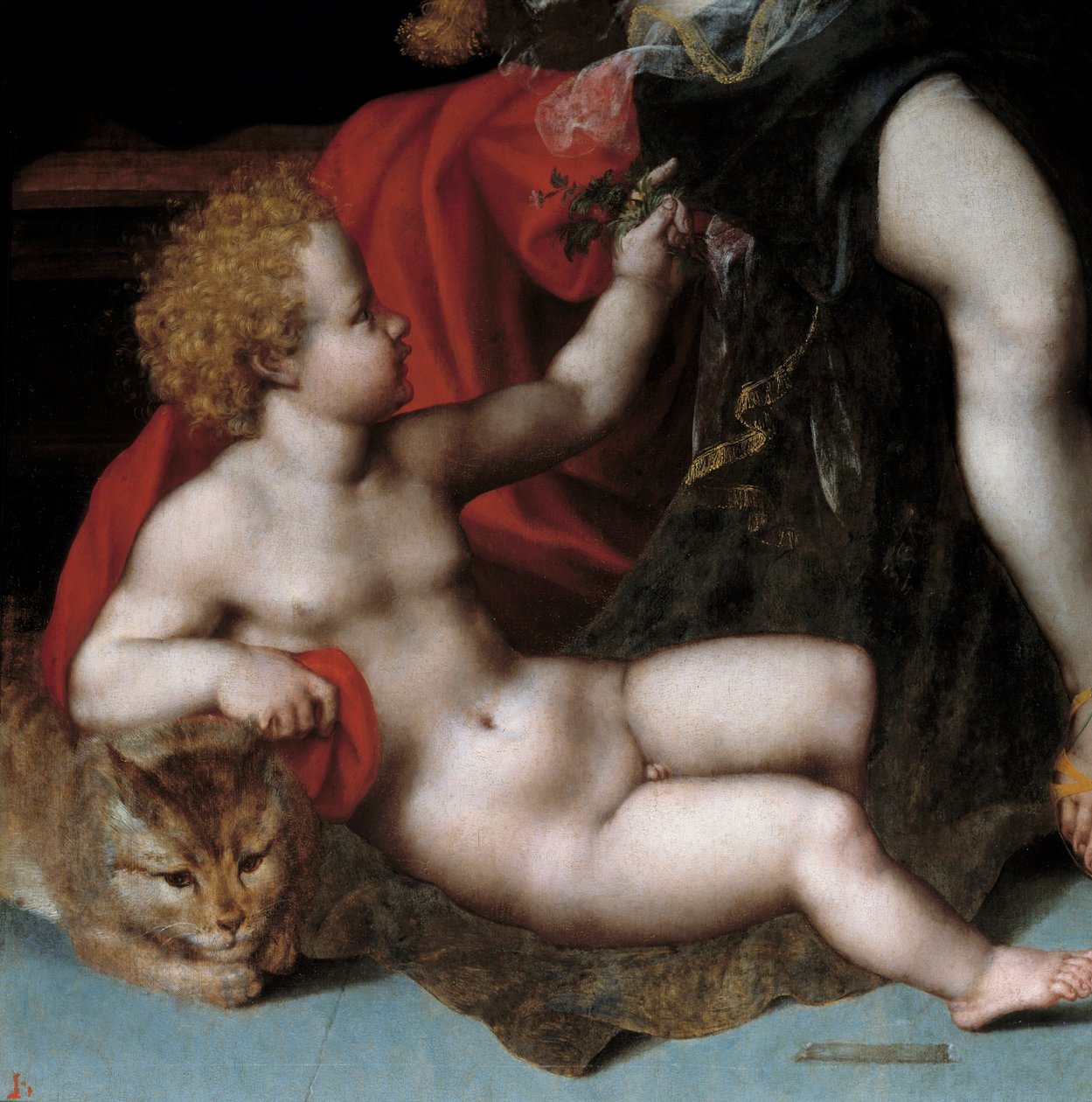 Jupiter szatírában Antiopéval és a Detail ikreivel, akik az egyik ikreket képviselik egy macskával. Vincent Sellaer festménye (1500-1589 körül) 16. század . alkotó: Vincent Sellaer