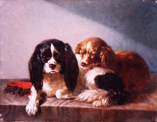 Egy pár Cavalier King Charles spániel egy párkányon alkotó: Vincent de Vos