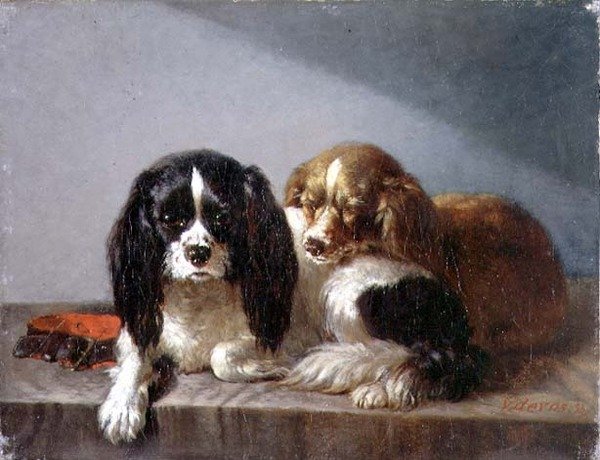 King Charles spánielek alkotó: Vincent de Vos