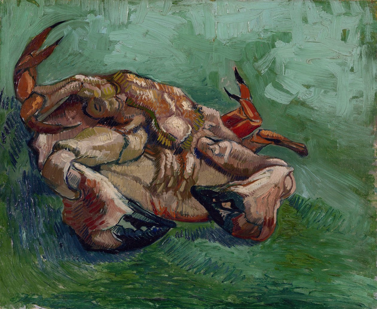 Egy rák a hátán Gogh mellett, Vincent, furgon (1853-1890). Olaj, vászon, mérete: 38x46,8 alkotó: Vincent van Gogh