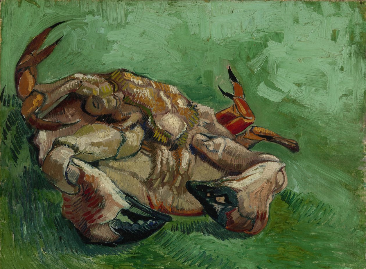 Egy rák, hanyatt fekve, 1889 alkotó: Vincent van Gogh
