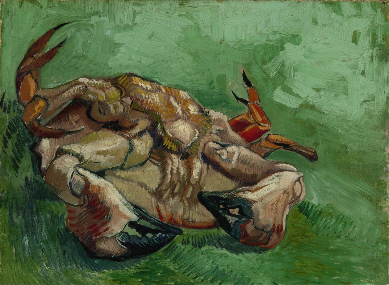 Rák a hátán alkotó: Vincent van Gogh