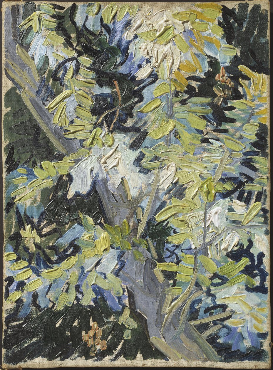 Akác en fleur – Akácvirágzás, Gogh, Vincent, van (1853-1890). Olajfestmény. Mérete: 33x24 cm. Nemzeti Múzeum Stockholm alkotó: Vincent van Gogh