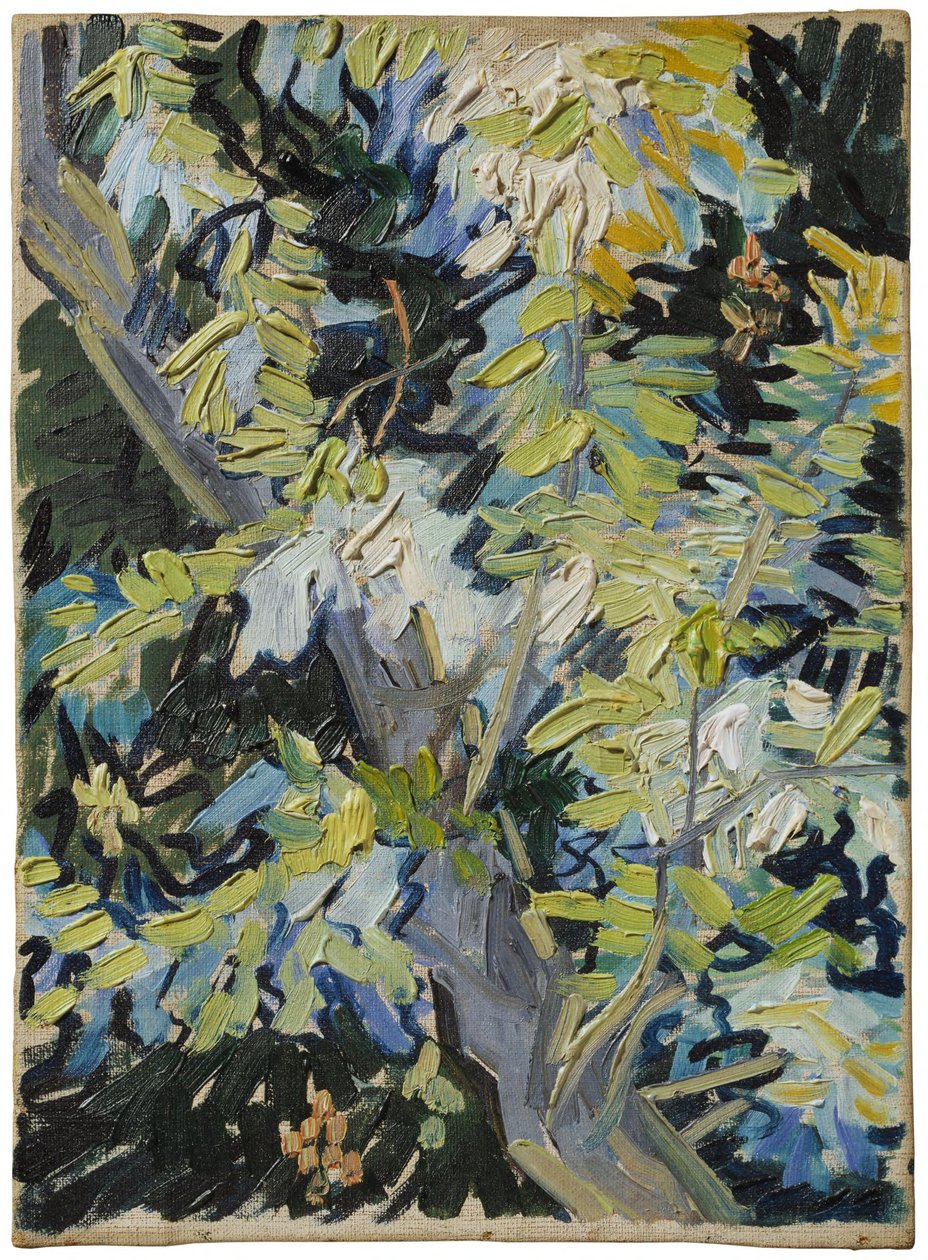 Virágzó akác alkotó: Vincent van Gogh