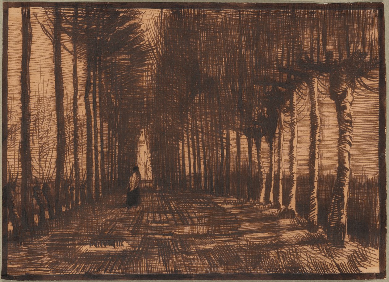 Pollard nyírfák és nyárfák sugárútja alkotó: Vincent van Gogh