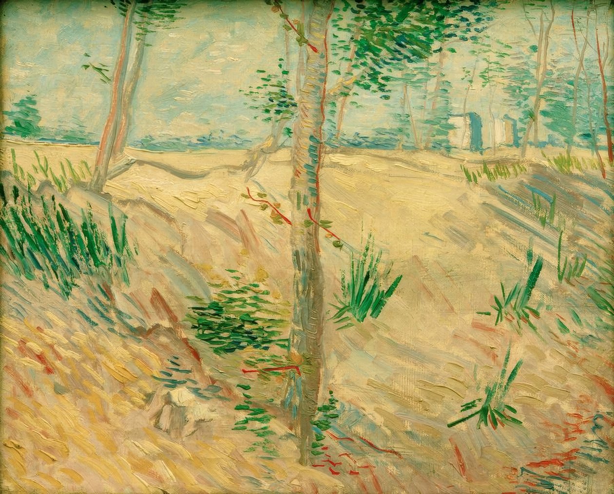 Fatörzsek a napfényben alkotó: Vincent van Gogh