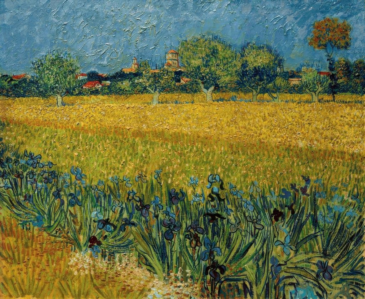 Kilátás Arles-ra, írisz virágokkal az előtérben alkotó: Vincent van Gogh