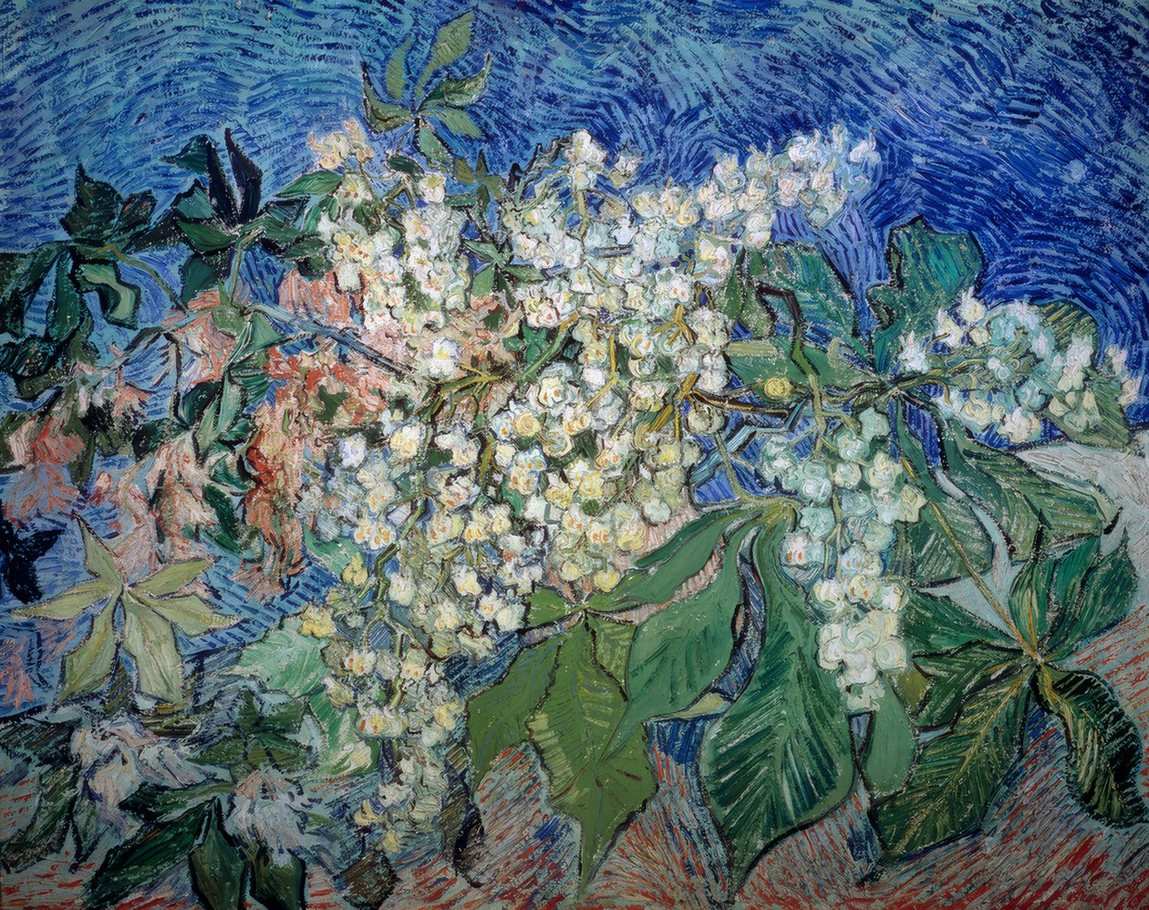 Virágzó gesztenye ágak alkotó: Vincent van Gogh