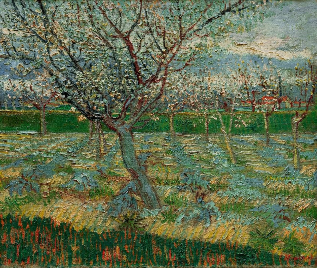 Virágzó gyümölcsös sárgabarackfákkal alkotó: Vincent van Gogh