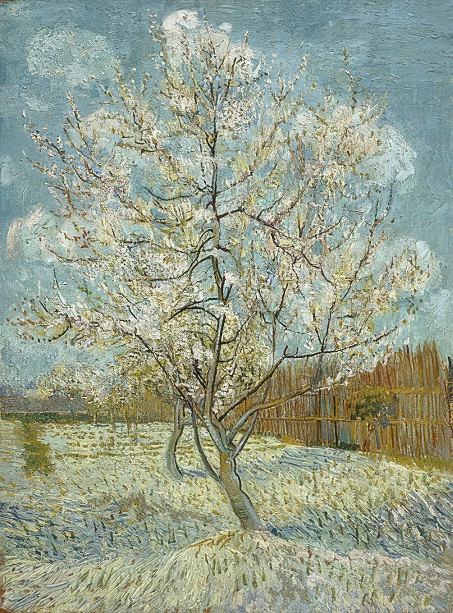 Virágzó barackfa (rózsaszín). Arles, 1888. április-május alkotó: Vincent van Gogh