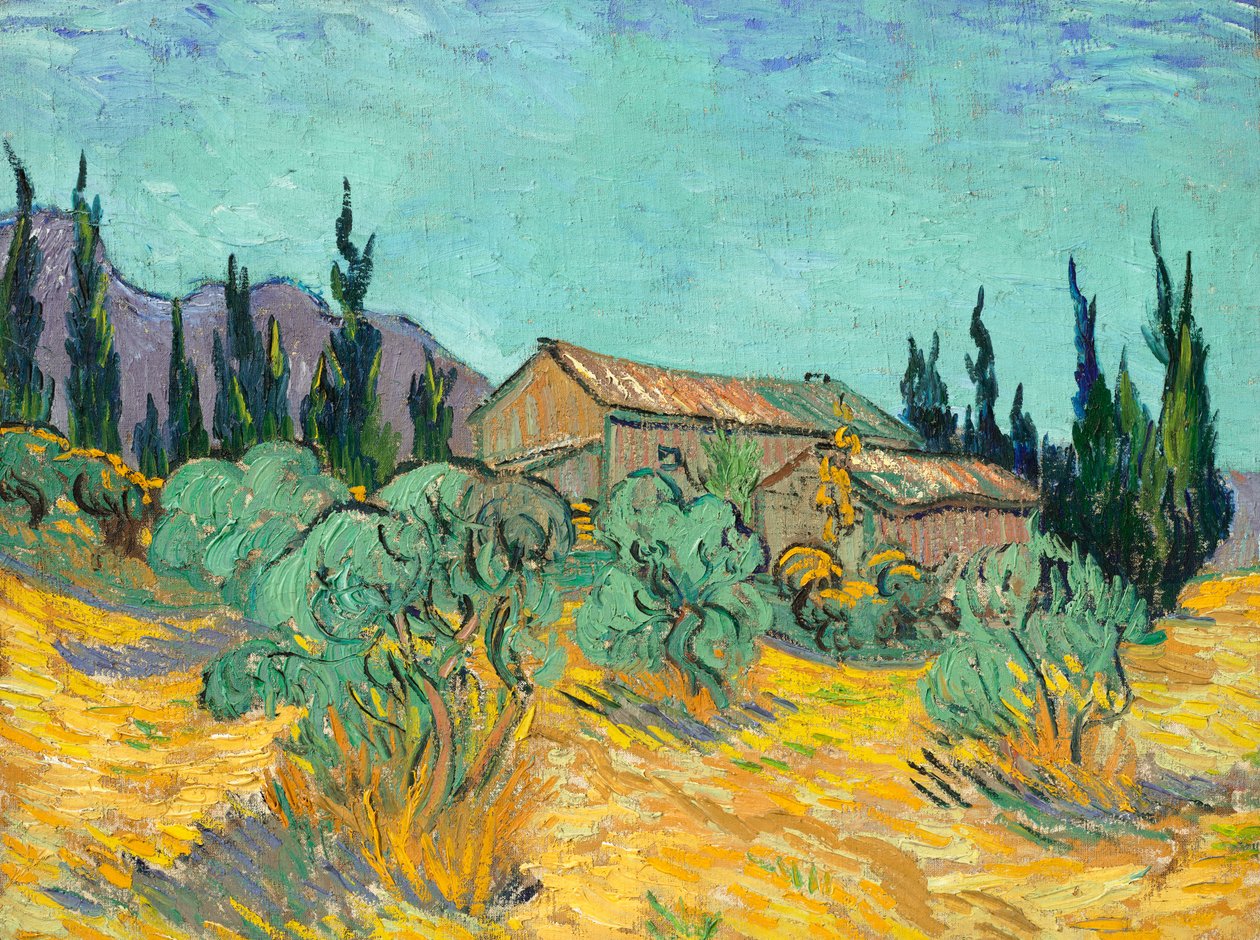 Fából készült kunyhók olajfák és ciprusok között alkotó: Vincent van Gogh
