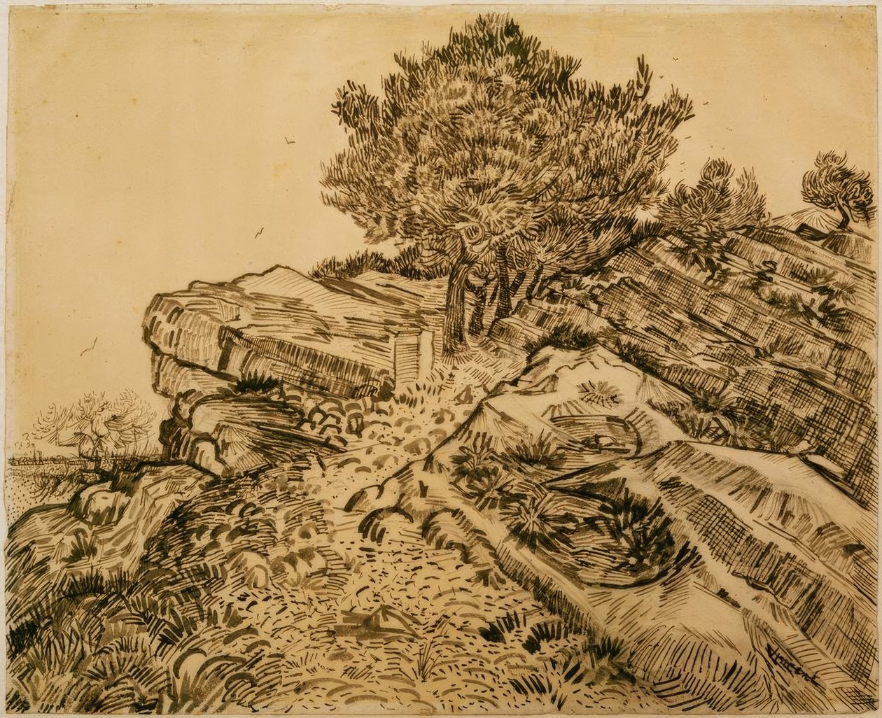 A Montmajour-szikla fenyőfákkal alkotó: Vincent van Gogh