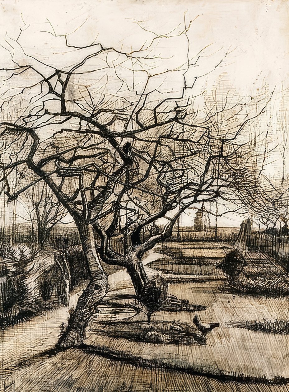 A nueneni paplak kertje. 1884 alkotó: Vincent van Gogh