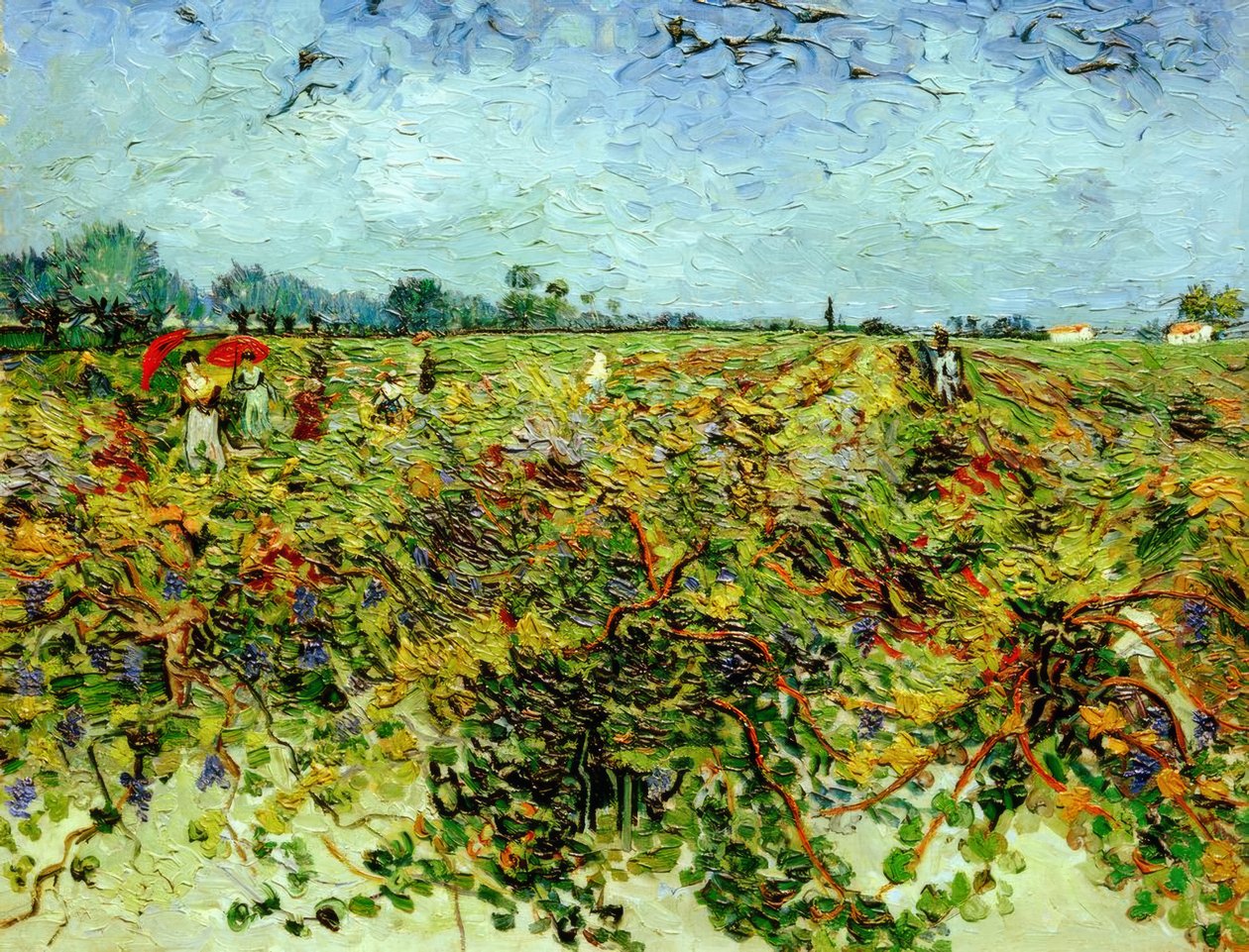 A zöld szőlő alkotó: Vincent van Gogh