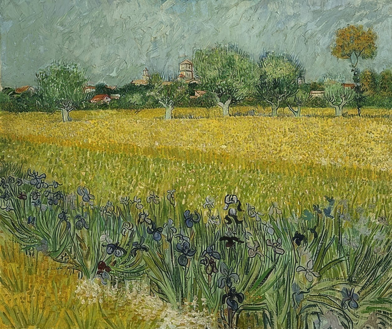 Mező íriszekkel Arles közelében. 1888. május alkotó: Vincent van Gogh