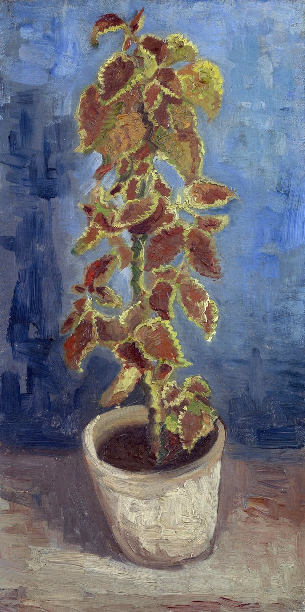 Lángcsalán egy virágcserépben, Gogh, Vincent, van (1853-1890). Olaj, vászon, mérete: 42,1x21,9 alkotó: Vincent van Gogh