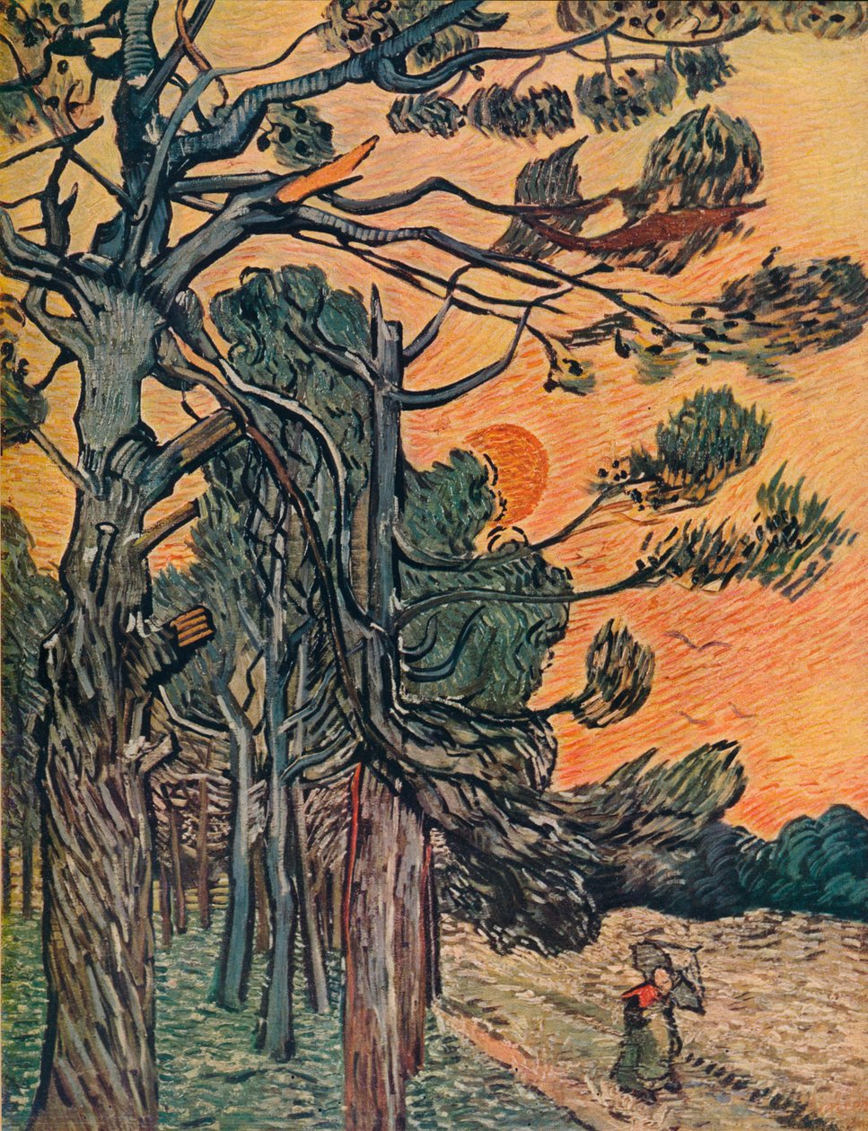 Fenyőerdő a nap végén, 1889 alkotó: Vincent van Gogh