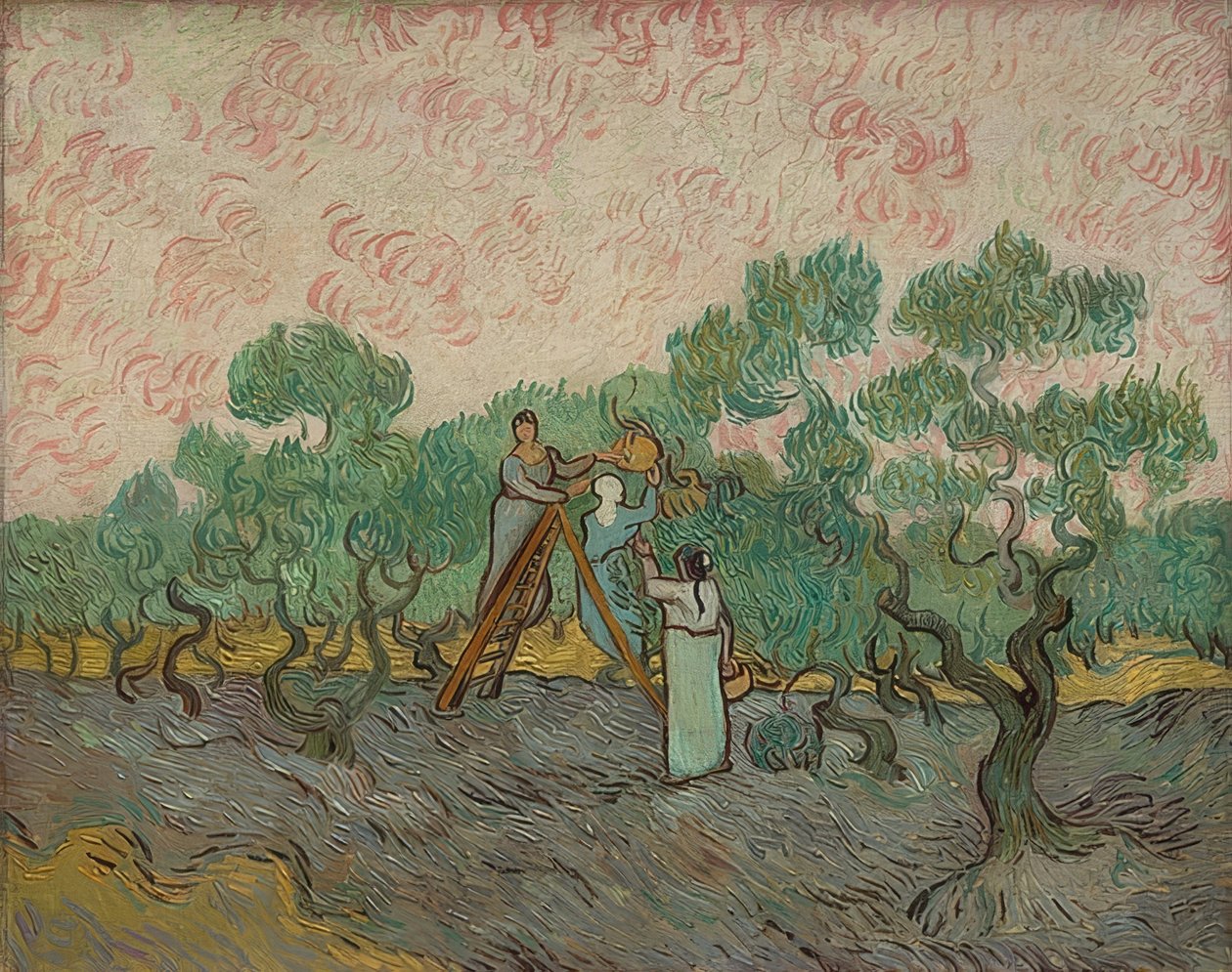 Olajbogyó betakarítású nők. 1889 alkotó: Vincent van Gogh