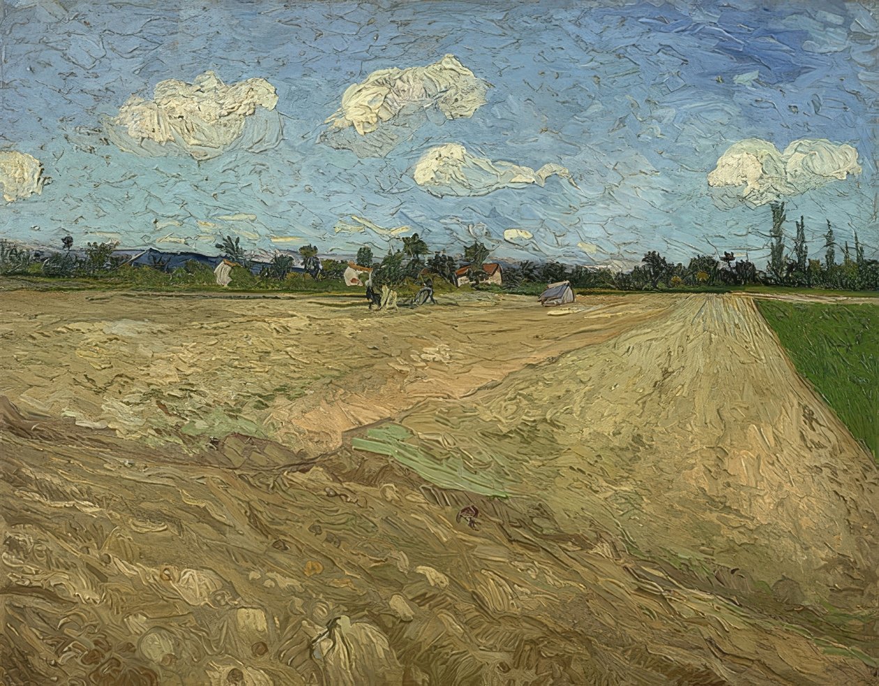 Felszántott mező (barázdák). 1888 alkotó: Vincent van Gogh