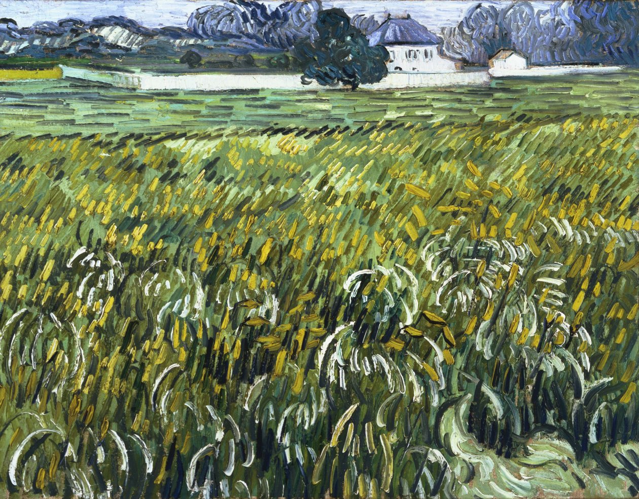Ház Auvers-ben alkotó: Vincent van Gogh