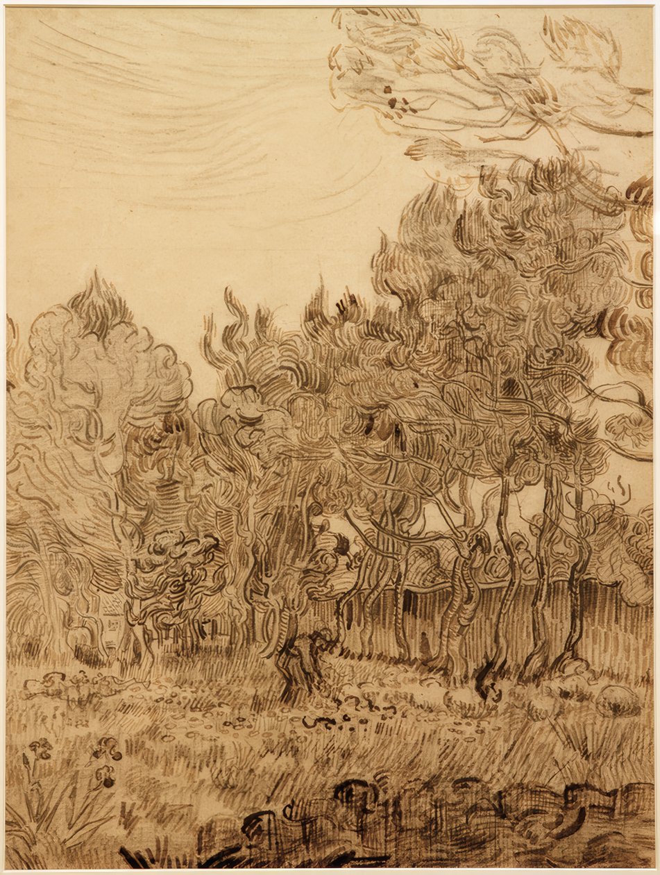 A szanatórium parkjában alkotó: Vincent van Gogh