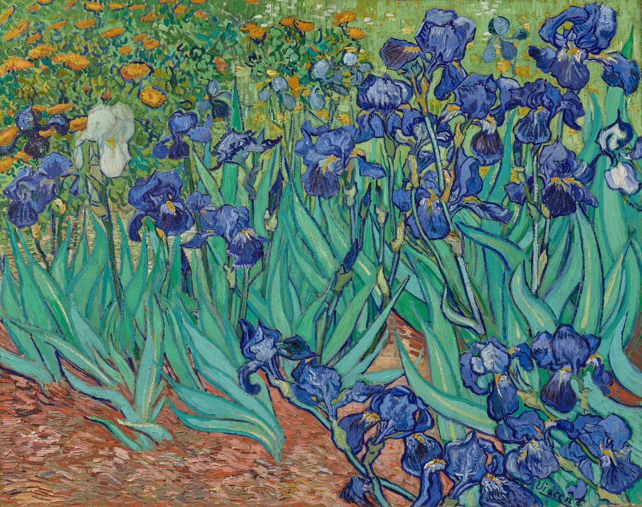 Íriszek alkotó: Vincent van Gogh