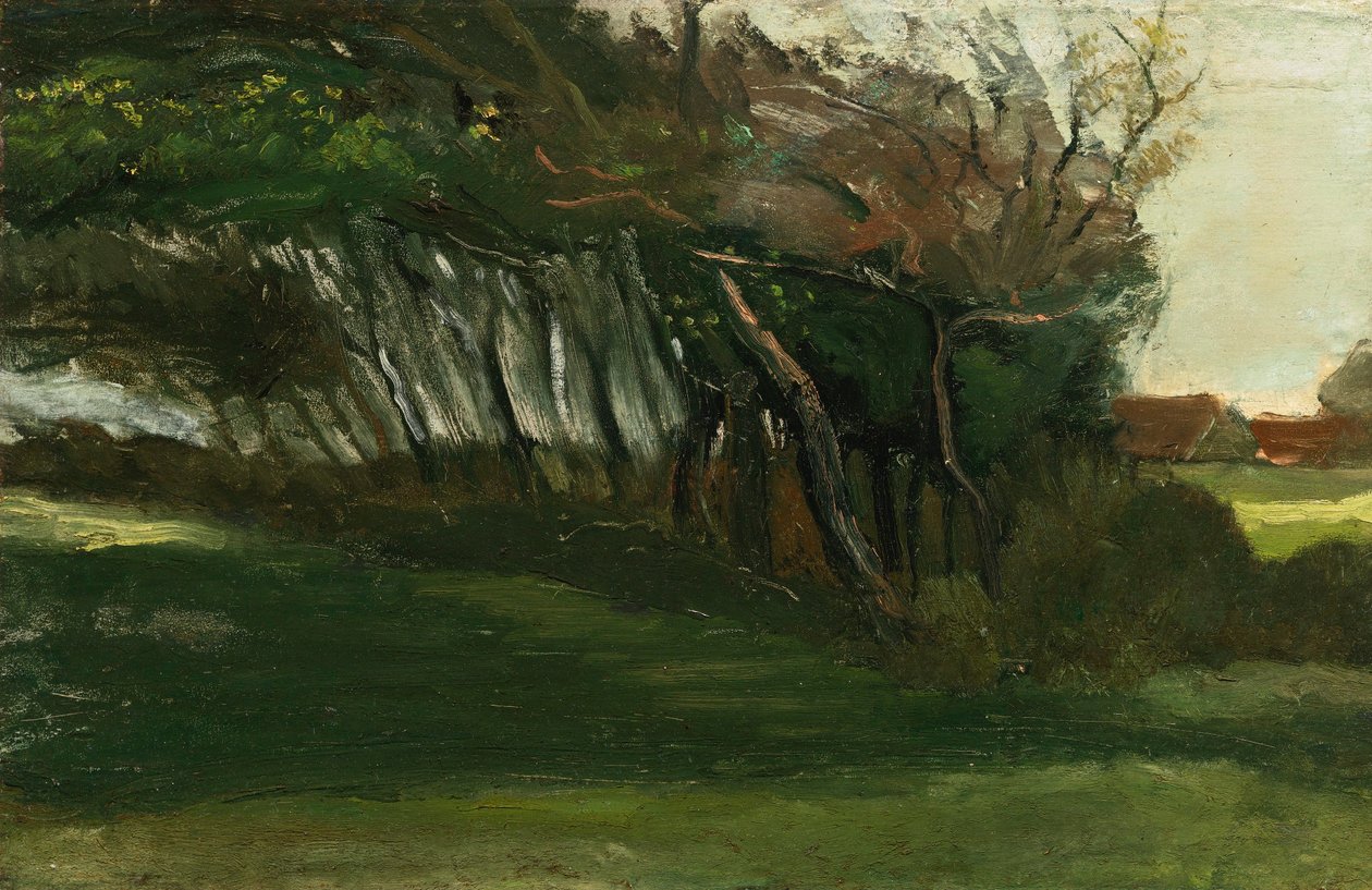 Táj szélfútta fákkal, 1883-84 körül (olaj, vászon) alkotó: Vincent van Gogh