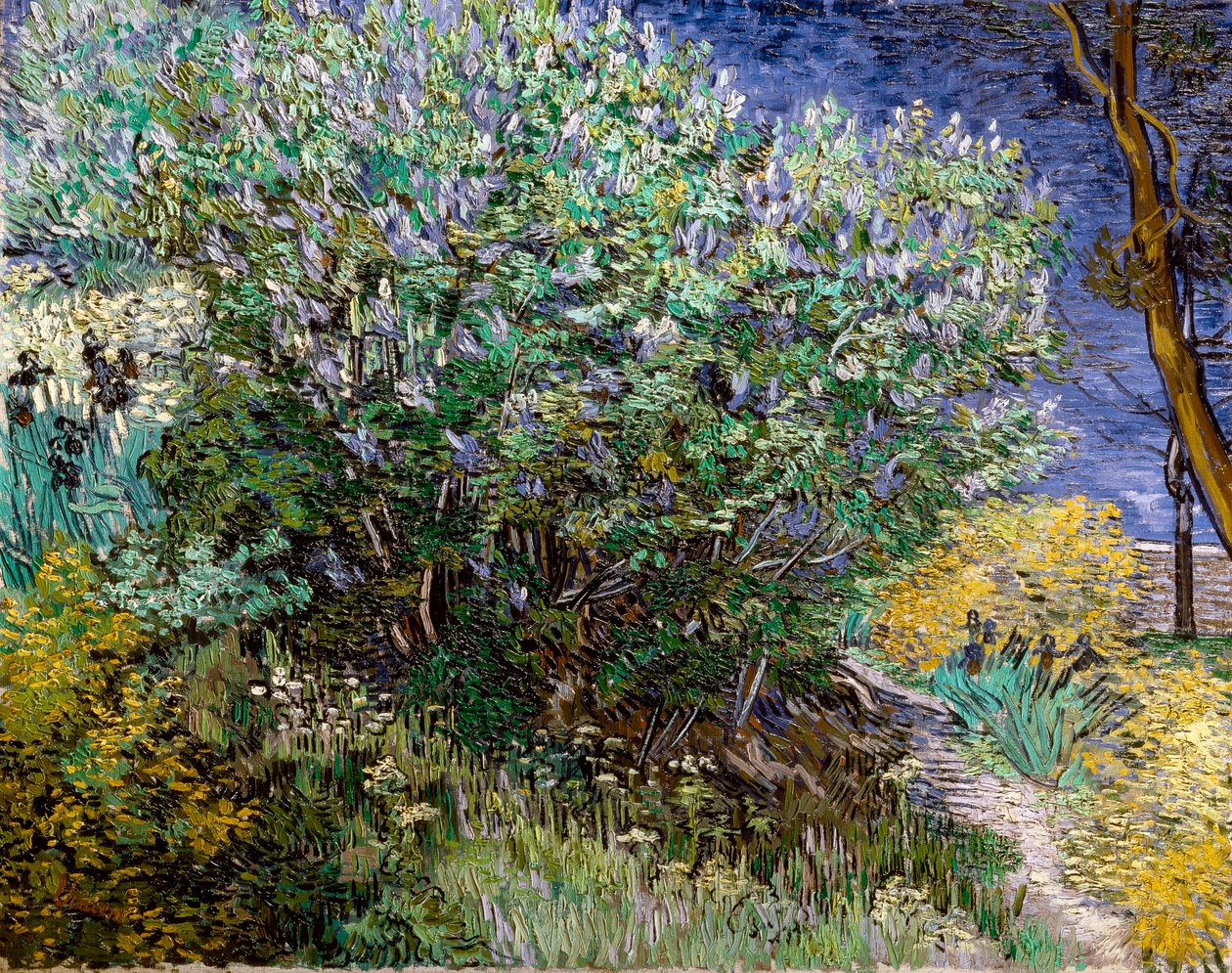 Az orgonabokor. Vincent VAN GOGH (1853-1890) alkotó: Vincent van Gogh