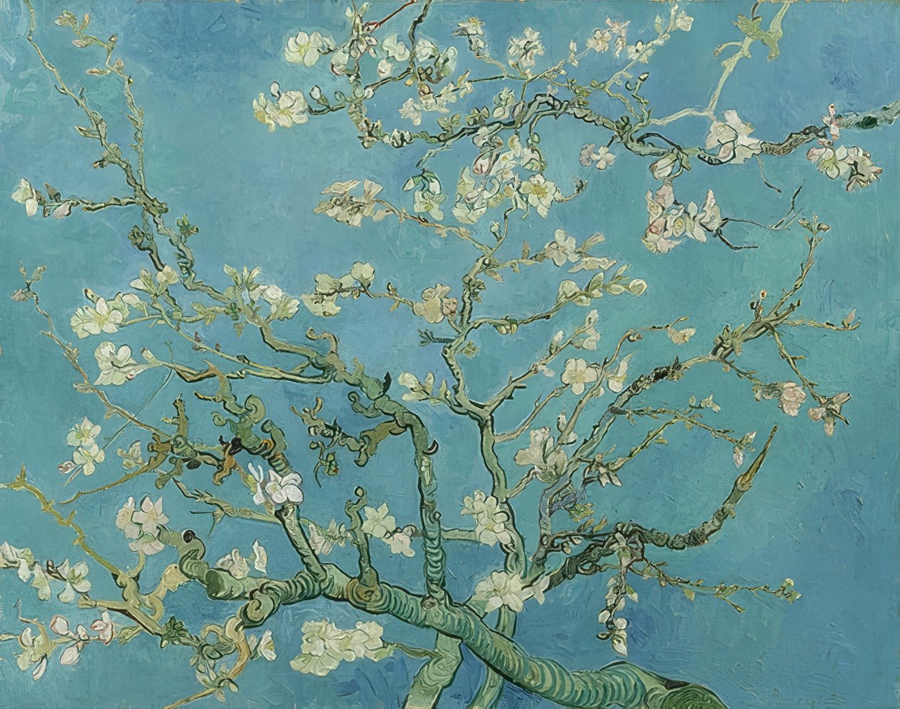 Mandula virágok. 1890 alkotó: Vincent van Gogh