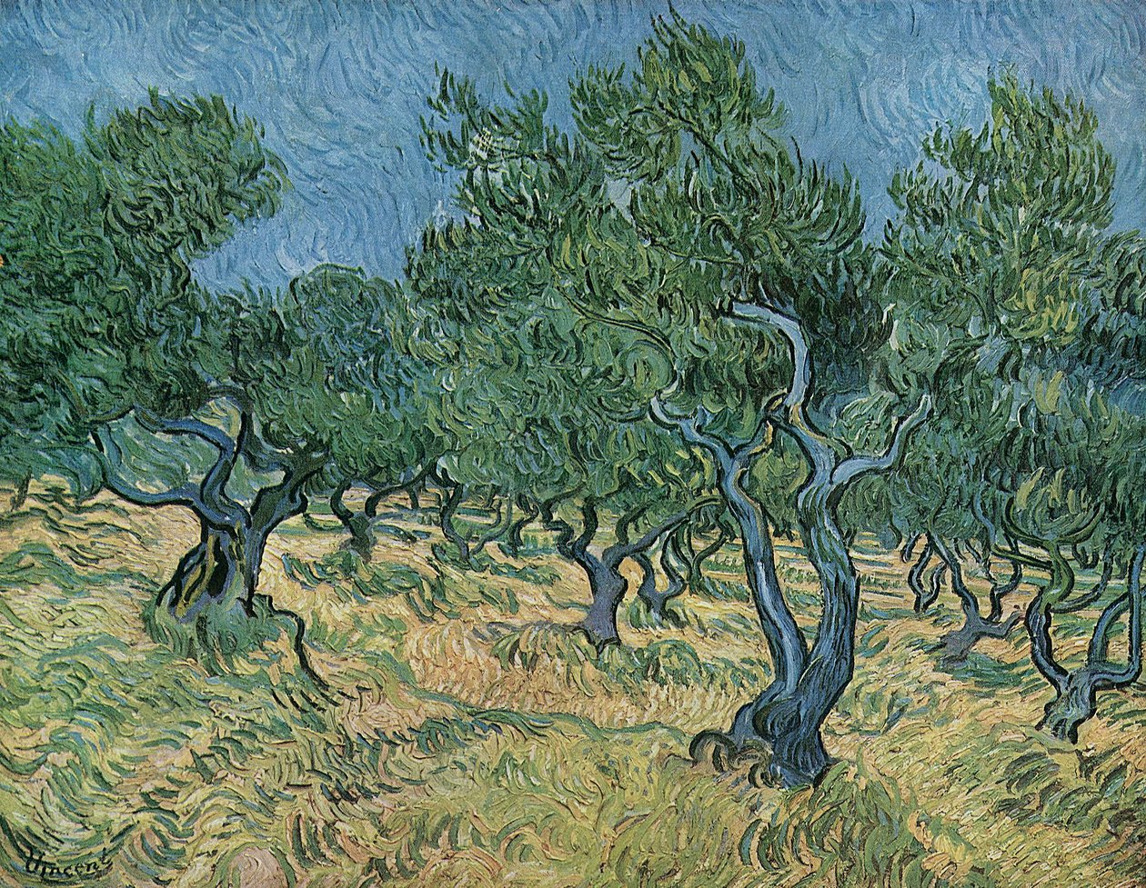 Olive Grove alkotó: Vincent van Gogh