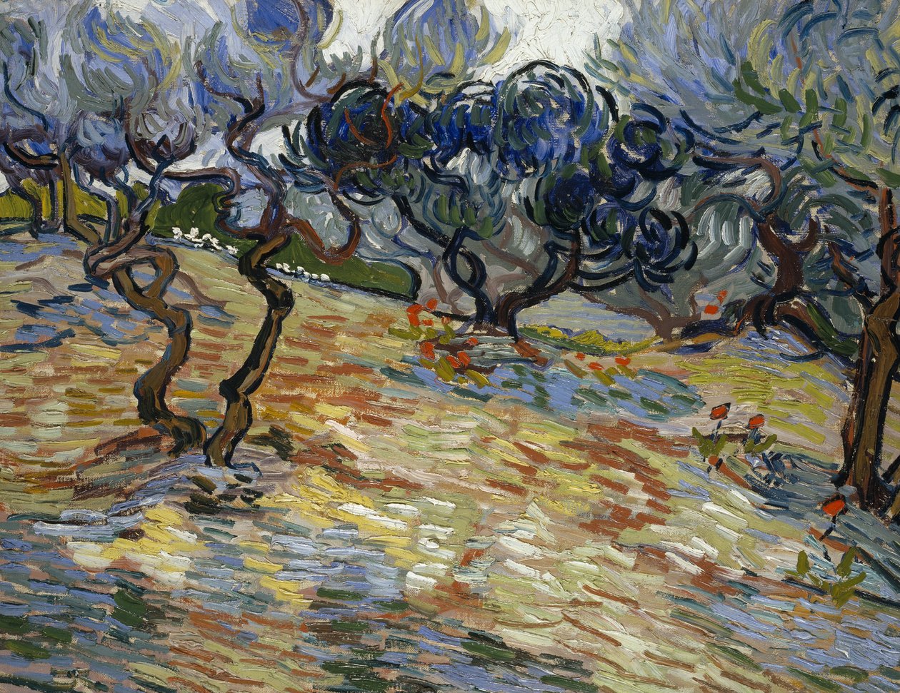 Olajfák: Ragyogó kék ég alkotó: Vincent van Gogh