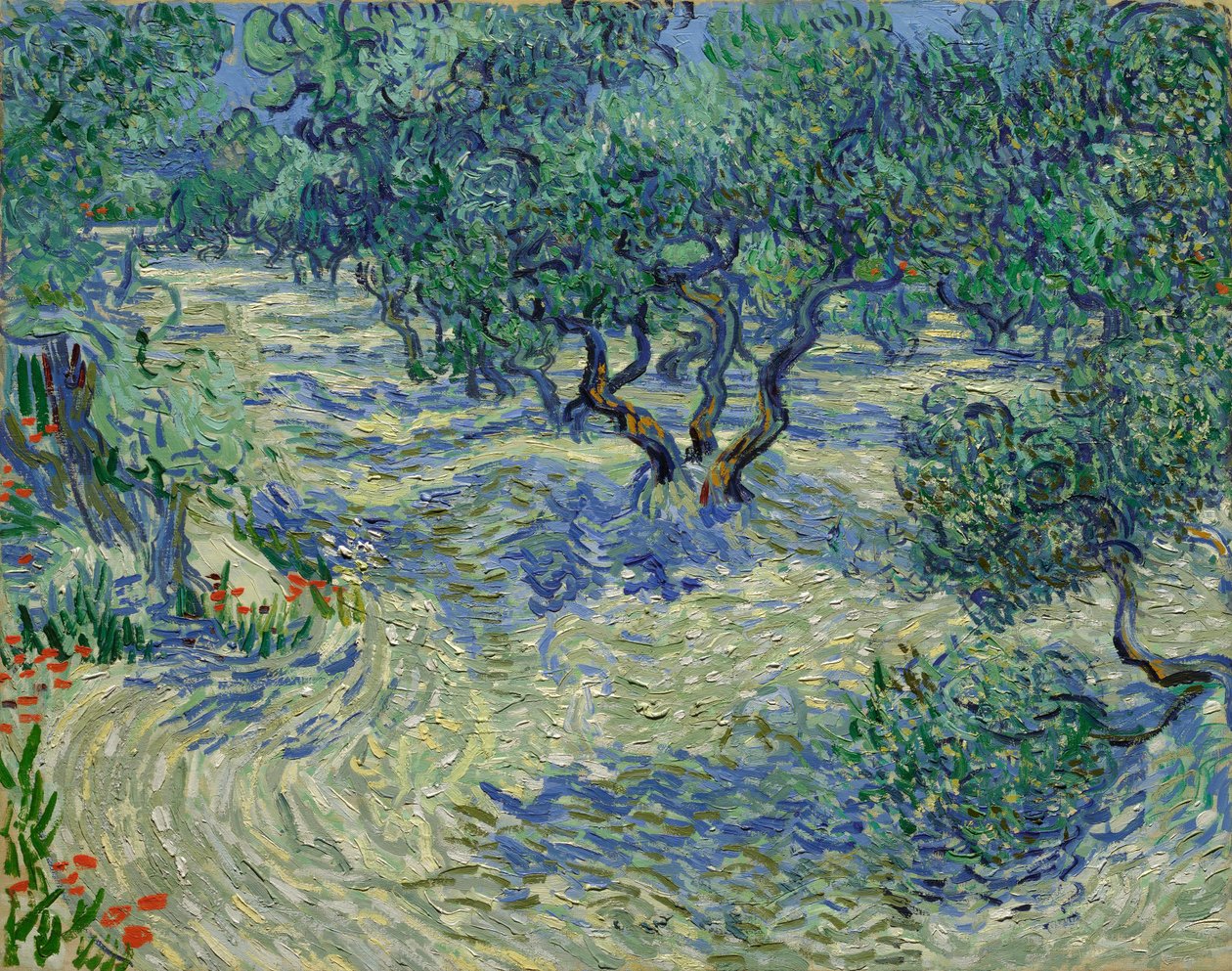 Olajfák / Olajfaliget alkotó: Vincent van Gogh