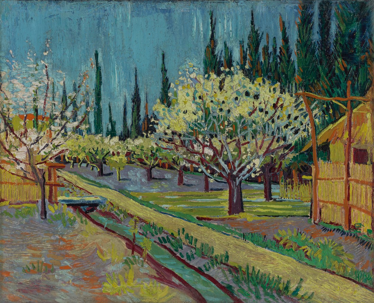 Ciprusokkal határolt gyümölcsös alkotó: Vincent van Gogh
