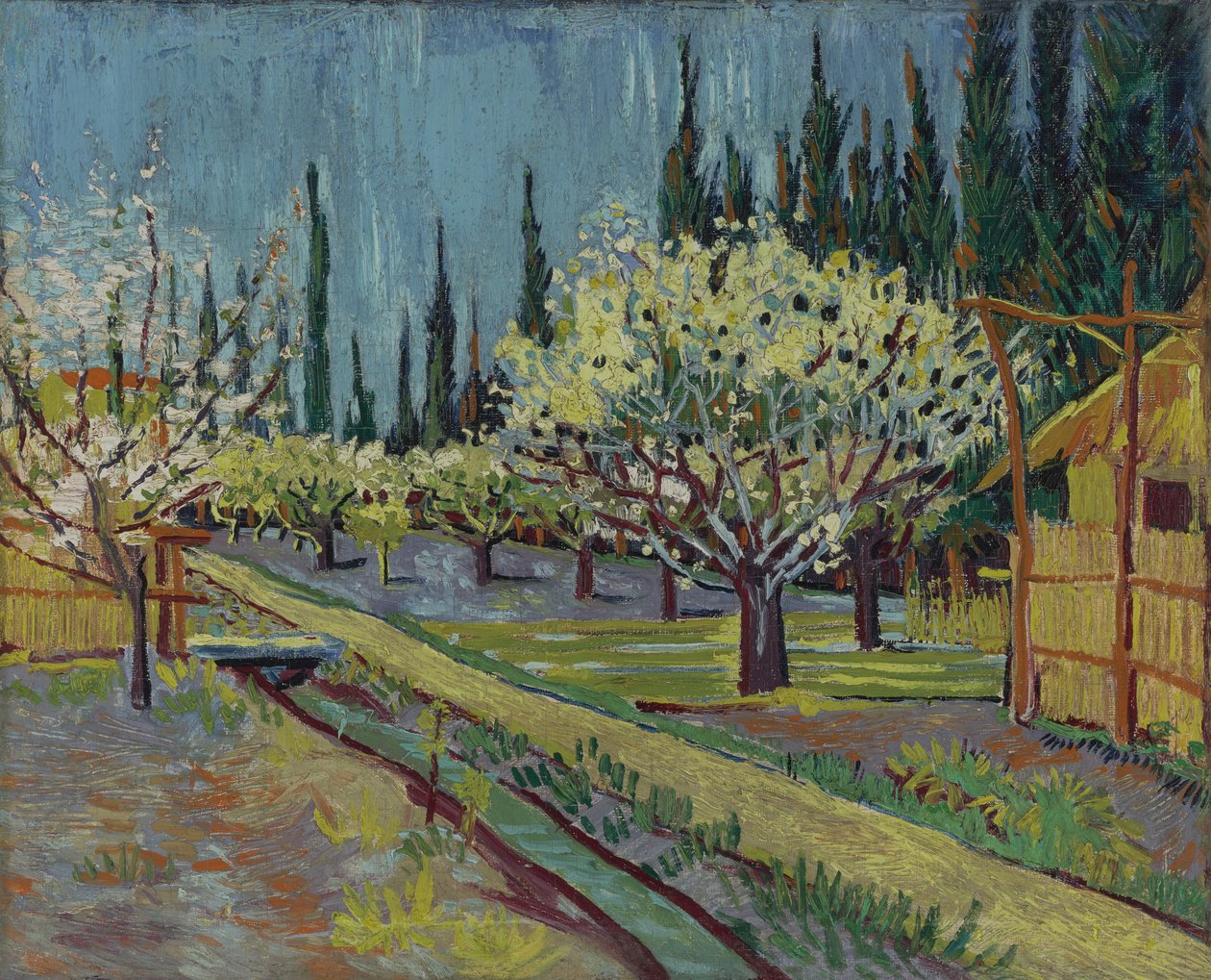 Ciprusokkal határolt gyümölcsös alkotó: Vincent van Gogh