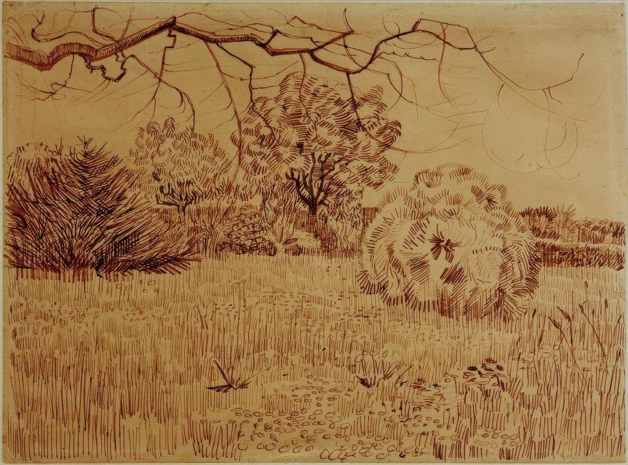 Park bokorral alkotó: Vincent van Gogh