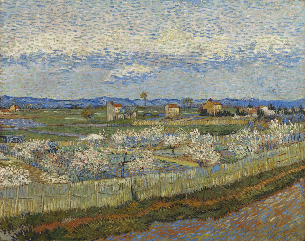 Barackfák virágzásban, 1889 alkotó: Vincent van Gogh