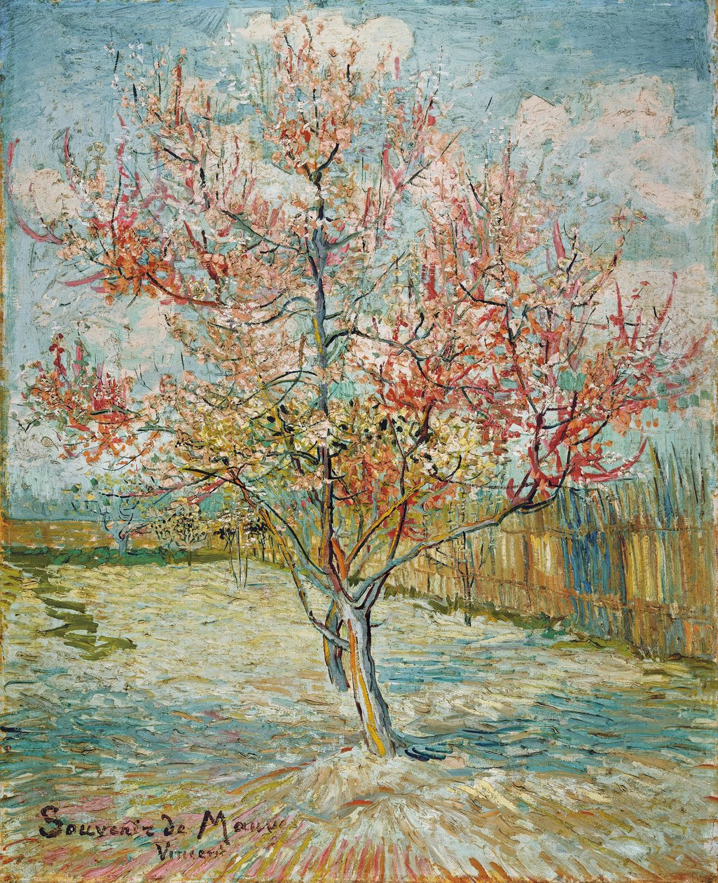 Rózsaszín barackfák (Souvenir de Mauve) alkotó: Vincent van Gogh