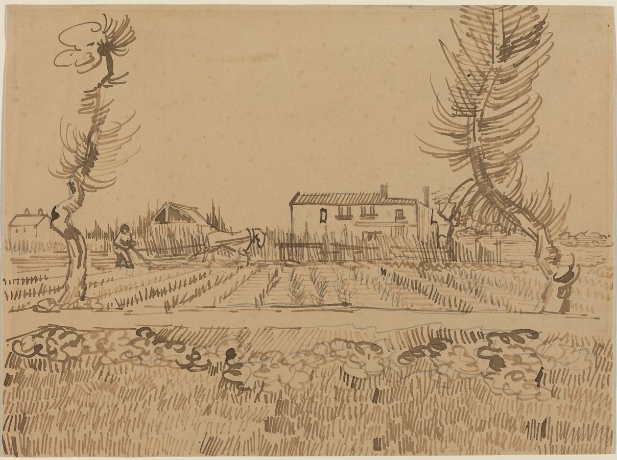 Szántóember az Arles környéki mezőkön alkotó: Vincent van Gogh